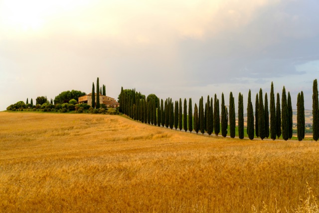 Esperienza in agriturismo a Stintino